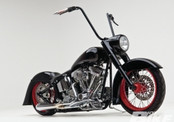 2005 Harley_Davidson Heritage Softail