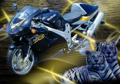 SuzukiTL1000_R Tigers