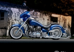 Custom Blue Bike