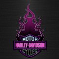 Pink Harley Davidson