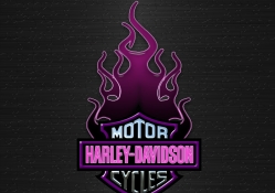 Pink Harley Davidson