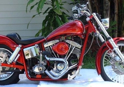 Harley Davidson Hot Rod