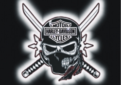 harley_Davidson skull