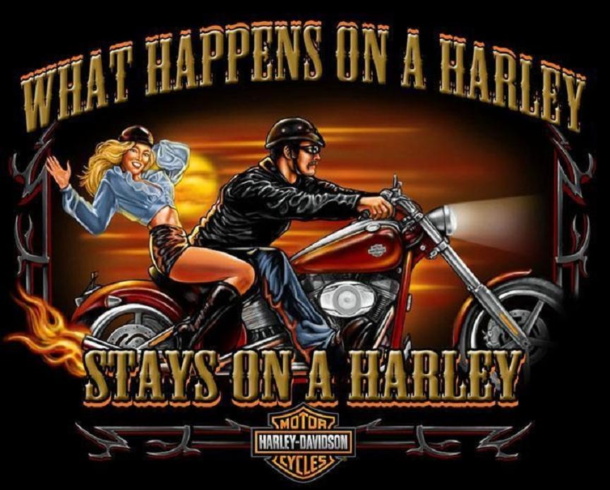 ON A HARLEY