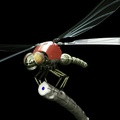 Dragonflies 3D Model