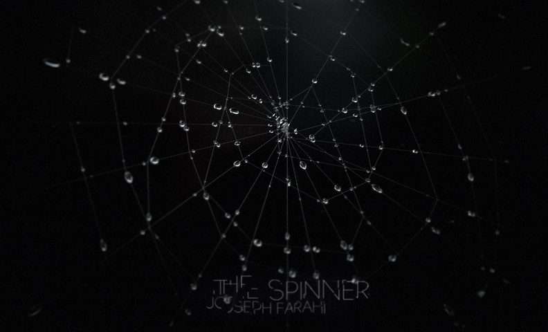 the_spinner.jpg