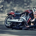 Harley Davidson and Asian Model