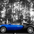 Bugatti Veyron Contrast Colors