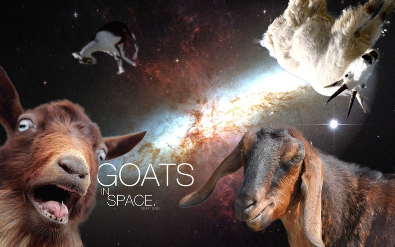 Goats_In_Space.jpg