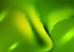 Green Abstract Widescreen Wallpaper