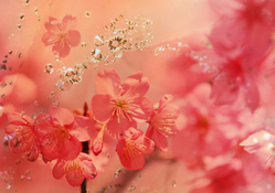 Cherries Flowers And Diamonds