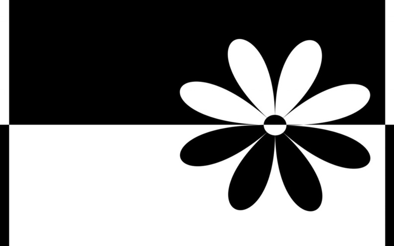 Black_And_White_Flower.jpg