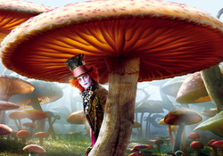 Alice In Wonderland Mushroom
