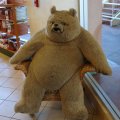 Funny Bears Toy