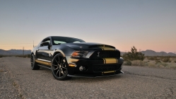 ford mustang shelby anniversary super snake gt 500