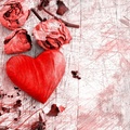 Rose Petals and Heart