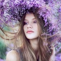 Lilac Beauty
