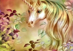 Beautiful Unicorn