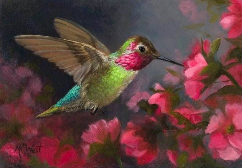 beautiful_hummingbird.jpg