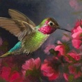 Beautiful Hummingbird