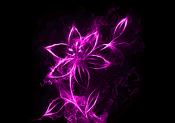 Purple Smoke Flower