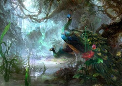 peacock forest