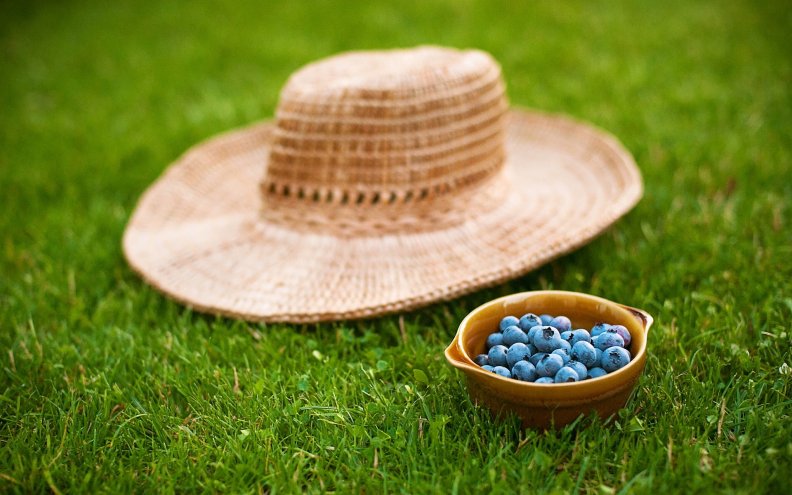 blueberries_and_a_hat.jpg