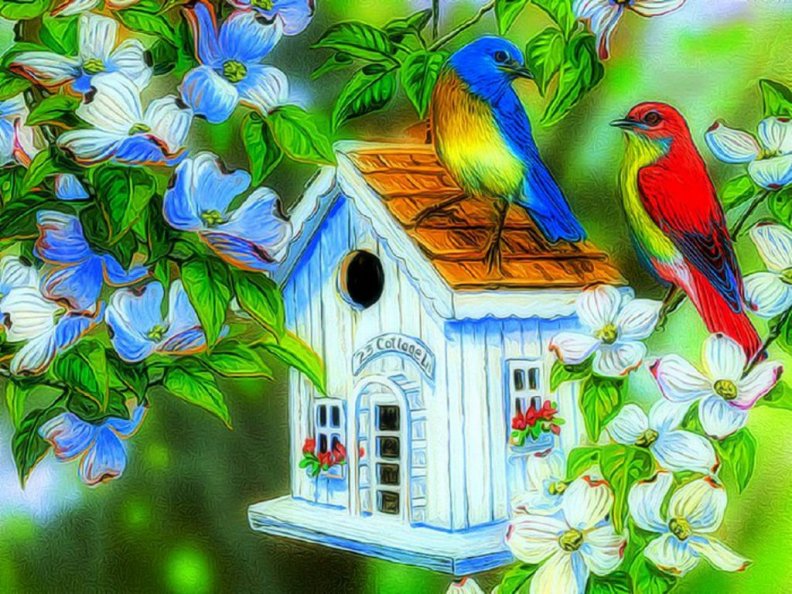 birds_house.jpg