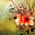 Floral Abstract Design