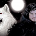 The Moon of White Wolves