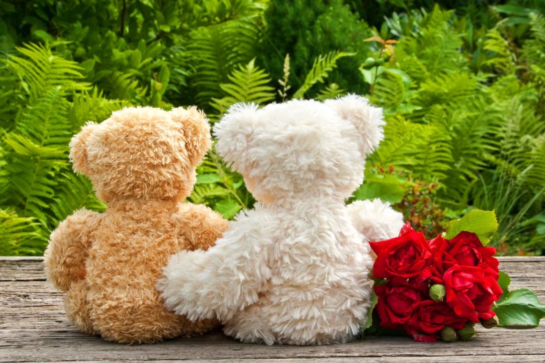 Teddy bears with roses