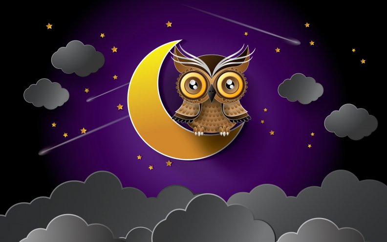 owl_on_the_moon.jpg