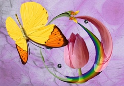 RAINBOW AND TULIP WITH BUTTERFLIES