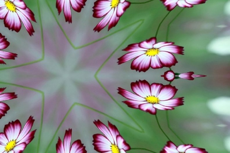 abstract_daisies.jpg