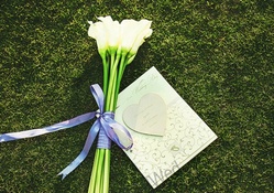 Flowers and Card