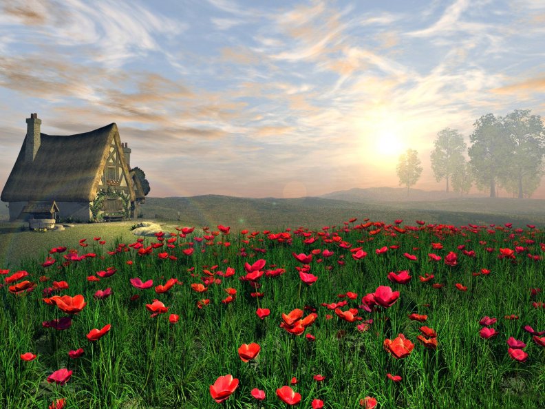 cottage_and_poppy_field.jpg