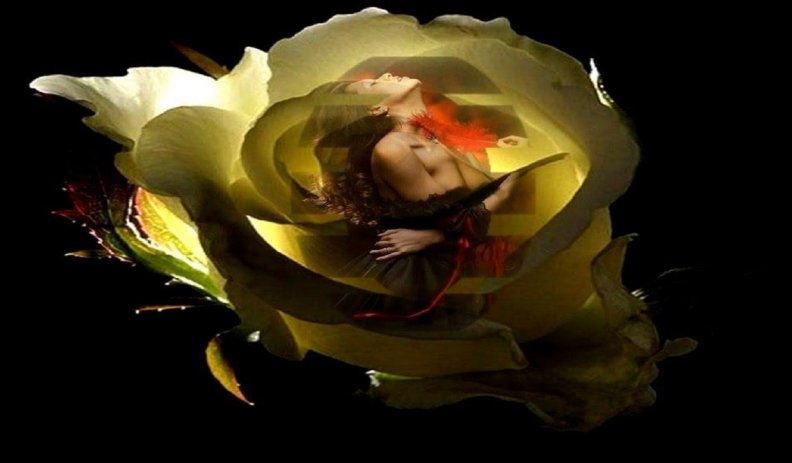 art_beauty_lady_yellow_rose.jpg