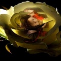 Art Beauty Lady Yellow Rose