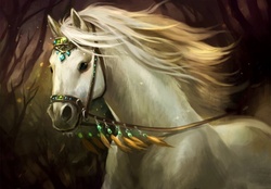 Beautiful White Horse
