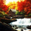 Forest Watermill