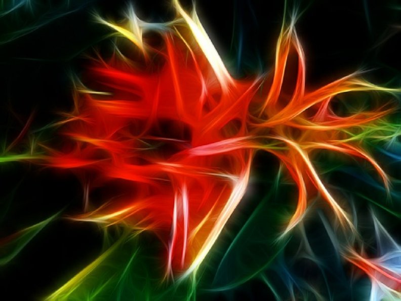 fractal_flower.jpg