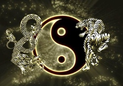 Qigong Dragon~Tiger