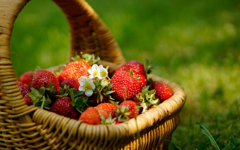 a_basket_of_strawberry.jpg