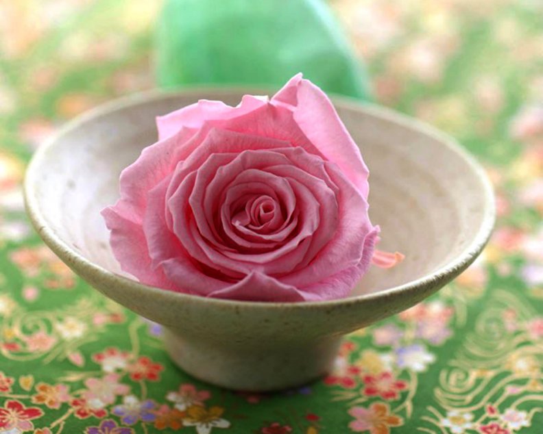 pink_rose.jpg
