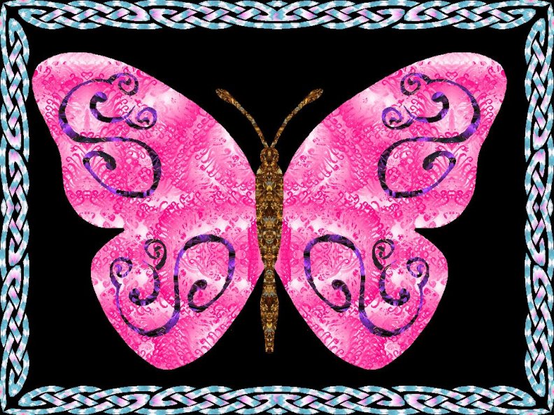 pink_butterfly.jpg