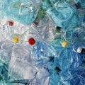 Disposable plastic bottles
