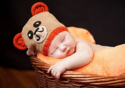 Teddy Bear Baby