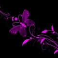 Abstract Purple Butterfly