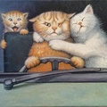 art cats