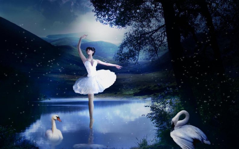 swan_n_ballet_at_lake.jpg